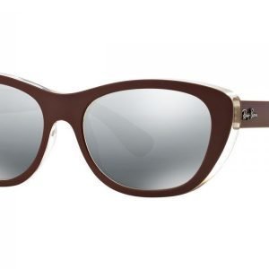 Ray-Ban RB4227 619388 Aurinkolasit