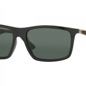 Ray-Ban RB4228 622771 Aurinkolasit