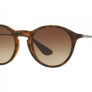 Ray-Ban RB4243 865/13 Aurinkolasit