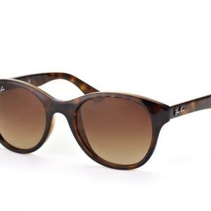 Ray-Ban rb4203 710/13 Aurinkolasit