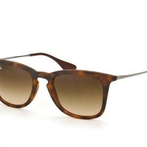 Ray-Ban rb4221 865/13 Aurinkolasit