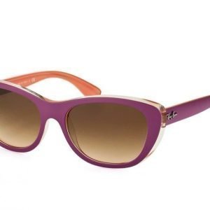 Ray-Ban rb4227 6192/13 Aurinkolasit