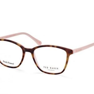 Ted Baker Ashe 9102 222 Silmälasit