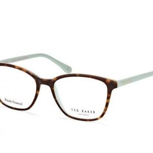 Ted Baker Ashe 9102 521 Silmälasit