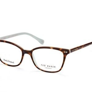 Ted Baker Cody 9123 521 Silmälasit