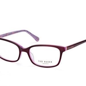 Ted Baker Saxon 9119 753 Silmälasit